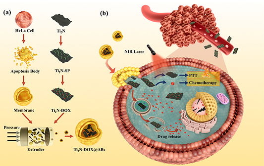 nanoad5690f9_lr.jpg